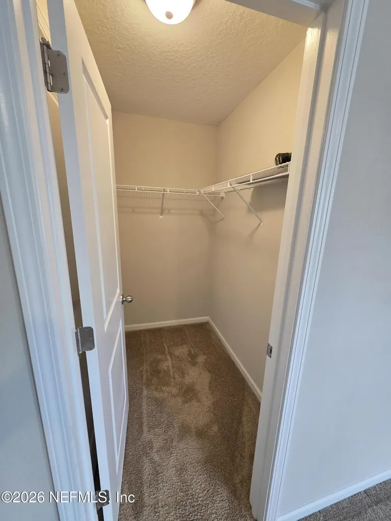3051 Greywood Lane Orange Park FL 32073