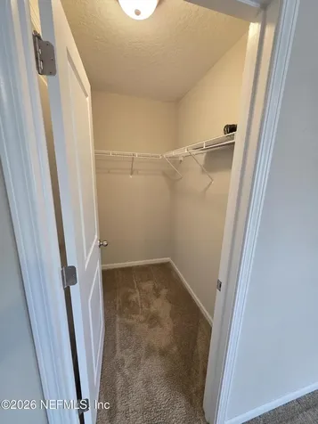 3051 Greywood Lane Orange Park FL 32073