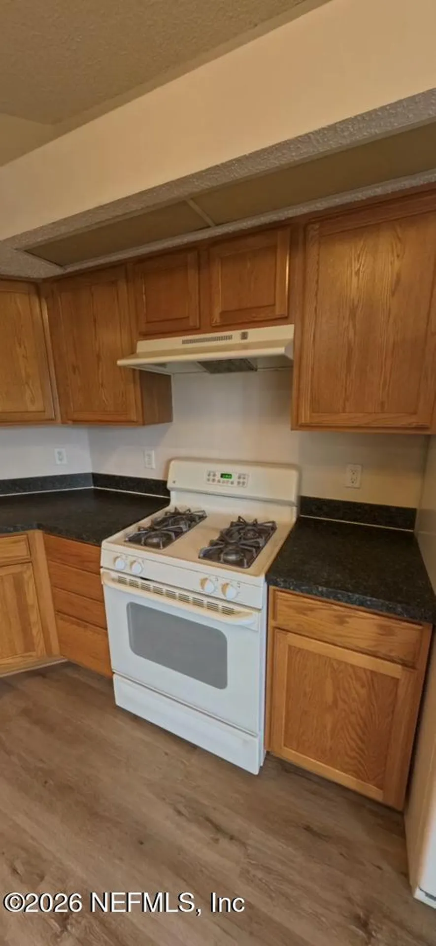 6428 Hannah Stables Drive Jacksonville FL 32244