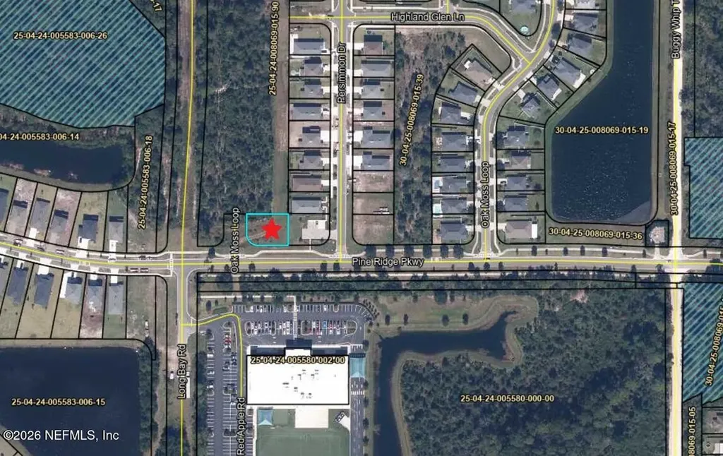 4679 Oak Moss Loop Middleburg FL 32068