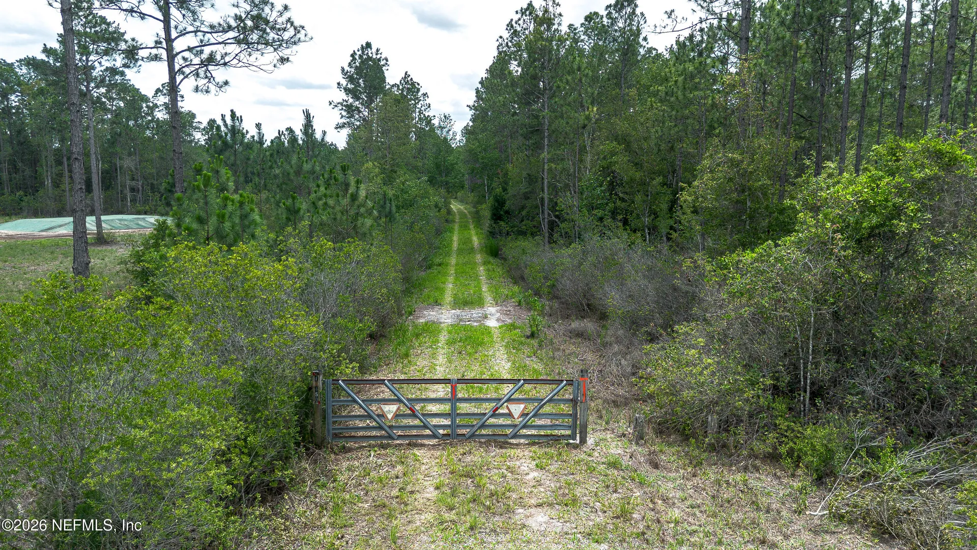 15450 Forest Trail Road Jacksonville FL 32234