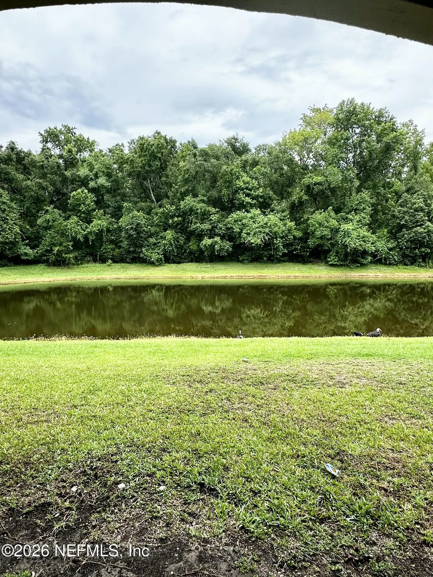 6985 Ortega Woods Drive Jacksonville FL 32244