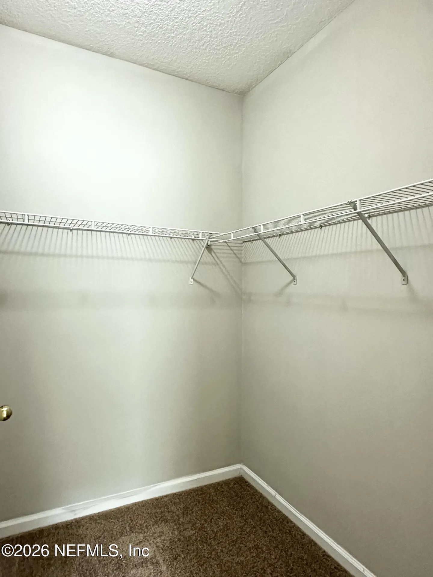 6985 Ortega Woods Drive Jacksonville FL 32244