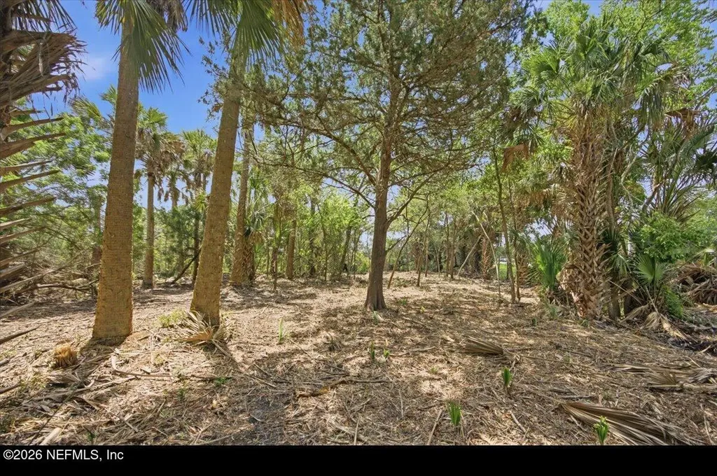 3258 Lewis Speedway St. Augustine FL 32084