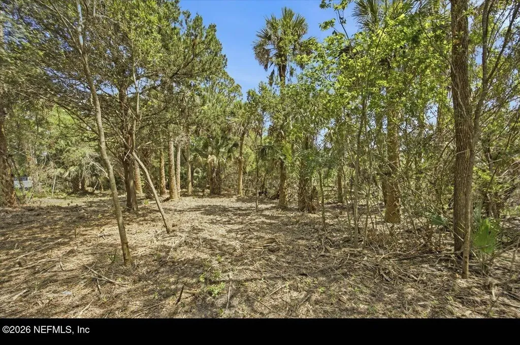 3258 Lewis Speedway St. Augustine FL 32084