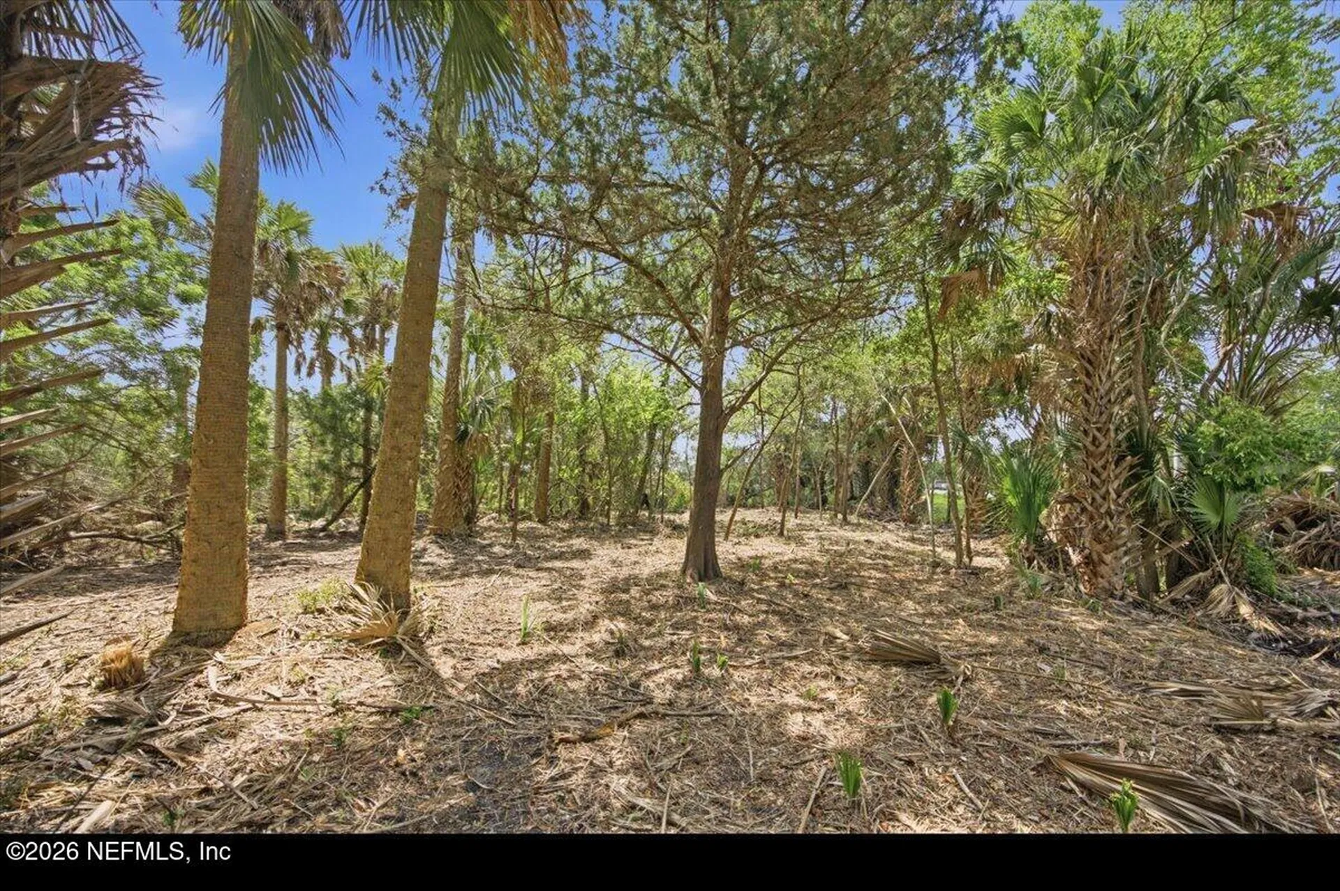 3258 Lewis Speedway St. Augustine FL 32084