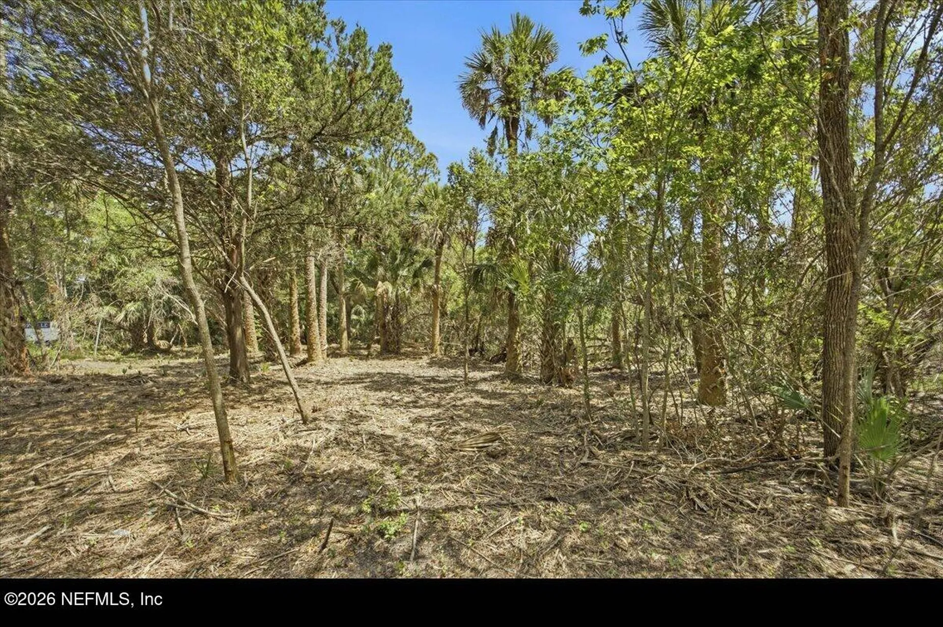 3258 Lewis Speedway St. Augustine FL 32084
