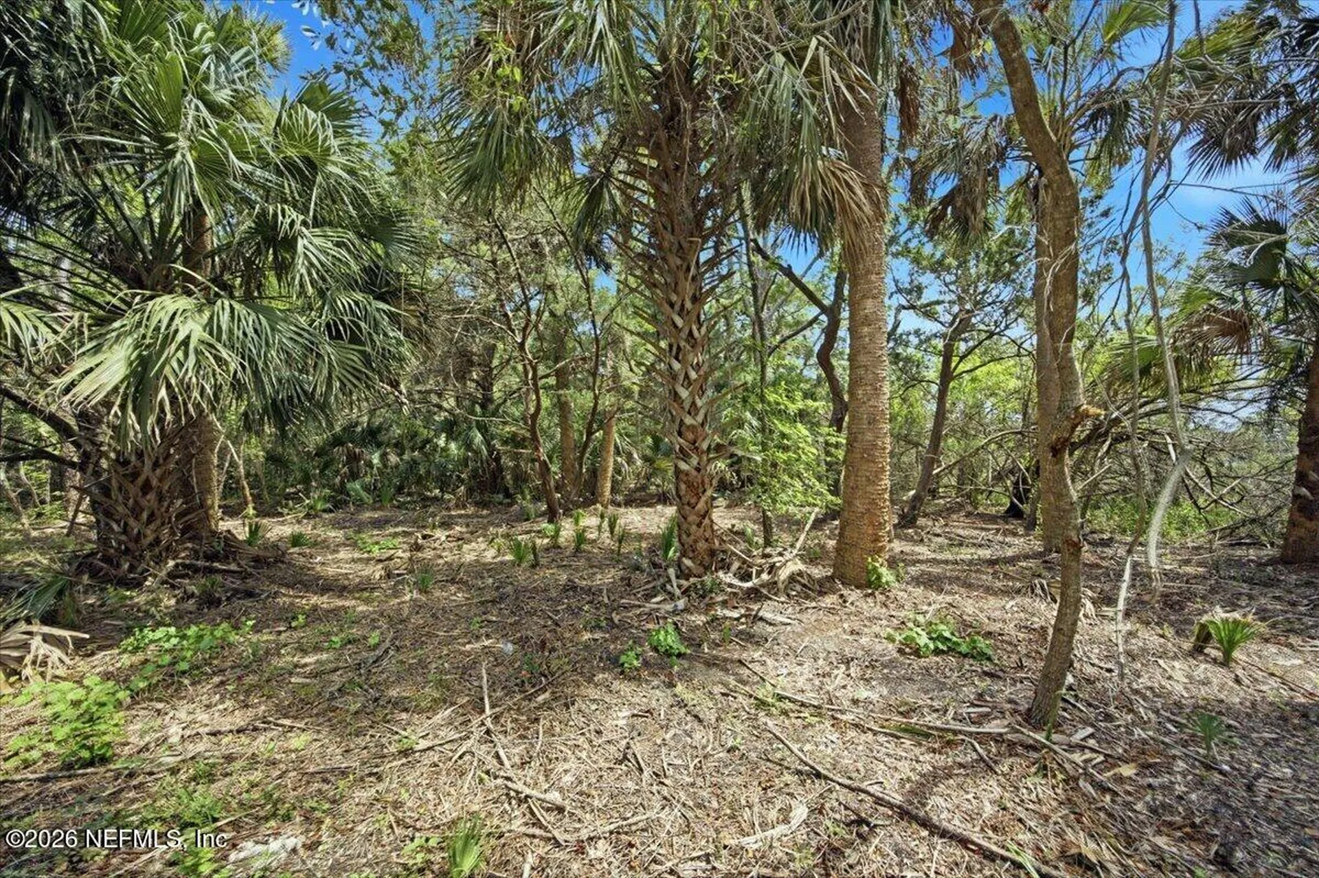 3258 Lewis Speedway St. Augustine FL 32084