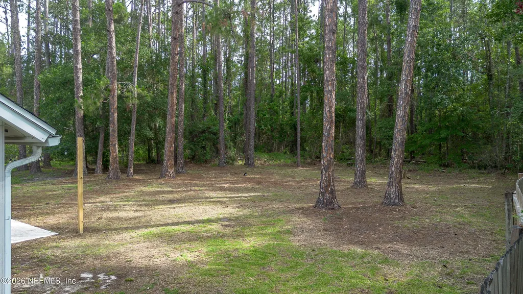 1745 St Ives Drive Middleburg FL 32068