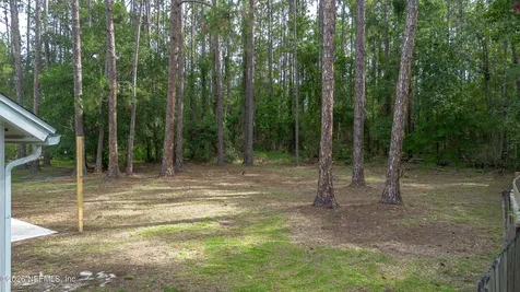 1745 St Ives Drive Middleburg FL 32068