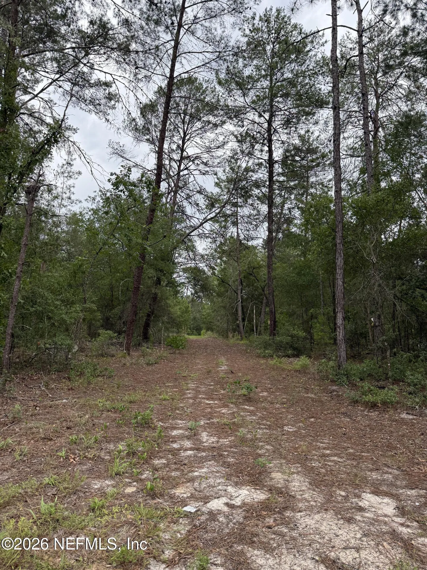 5511 Campo Drive Keystone Heights FL 32656