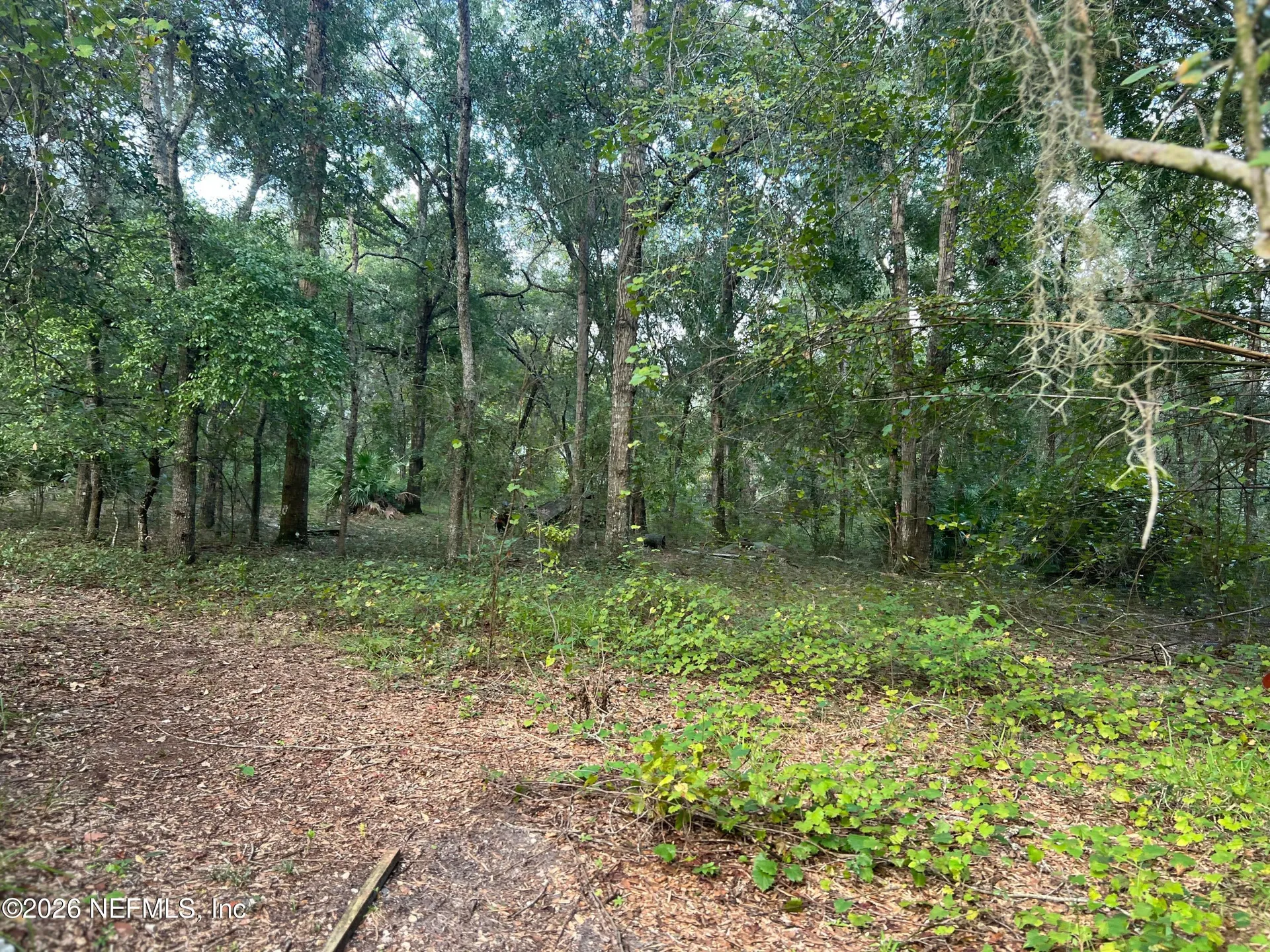 126 Willow Lane Hawthorne FL 32640