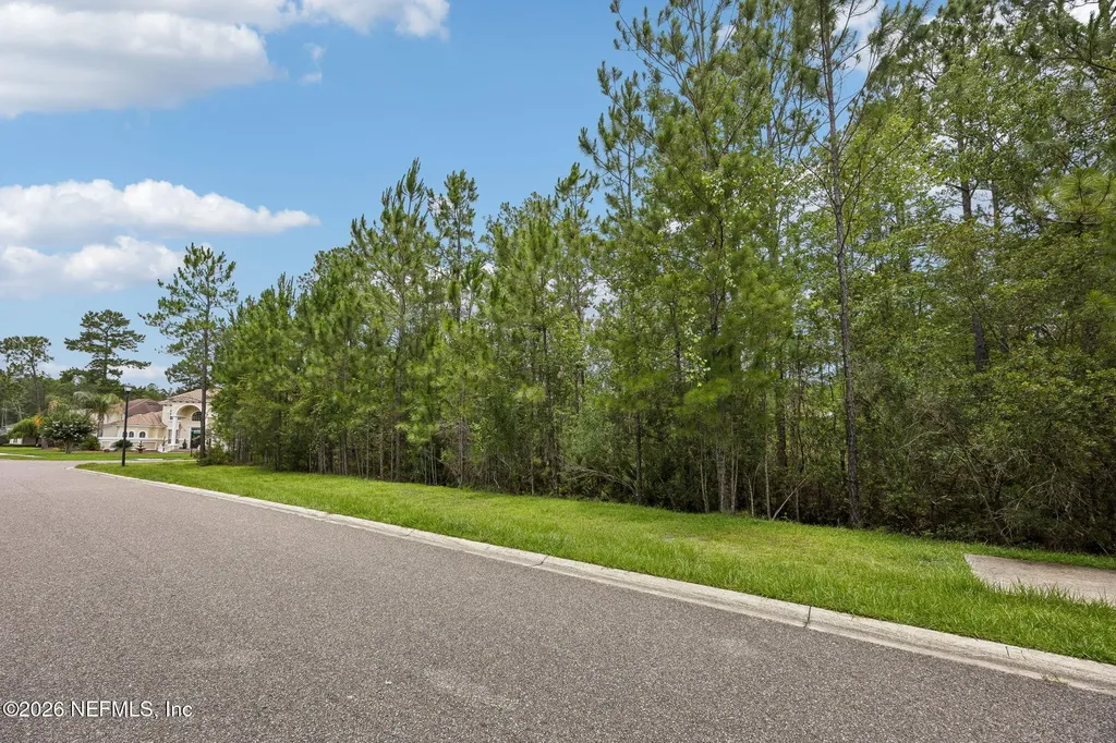 0 Green Moss Lane Orange Park FL 32065