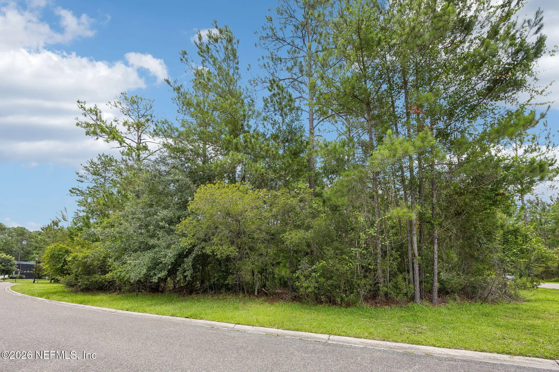 0 Green Moss Lane Orange Park FL 32065