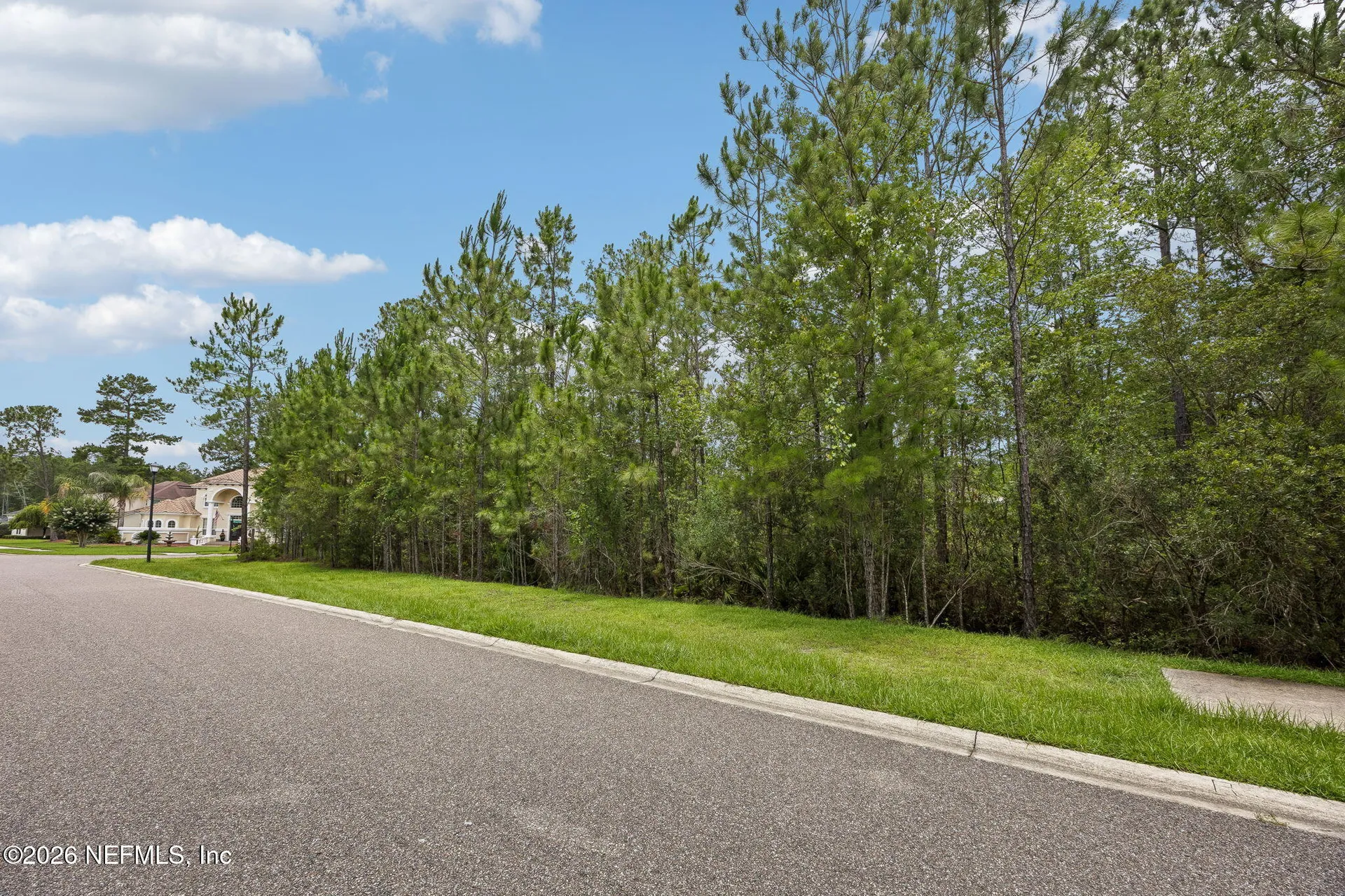 0 Green Moss Lane Orange Park FL 32065
