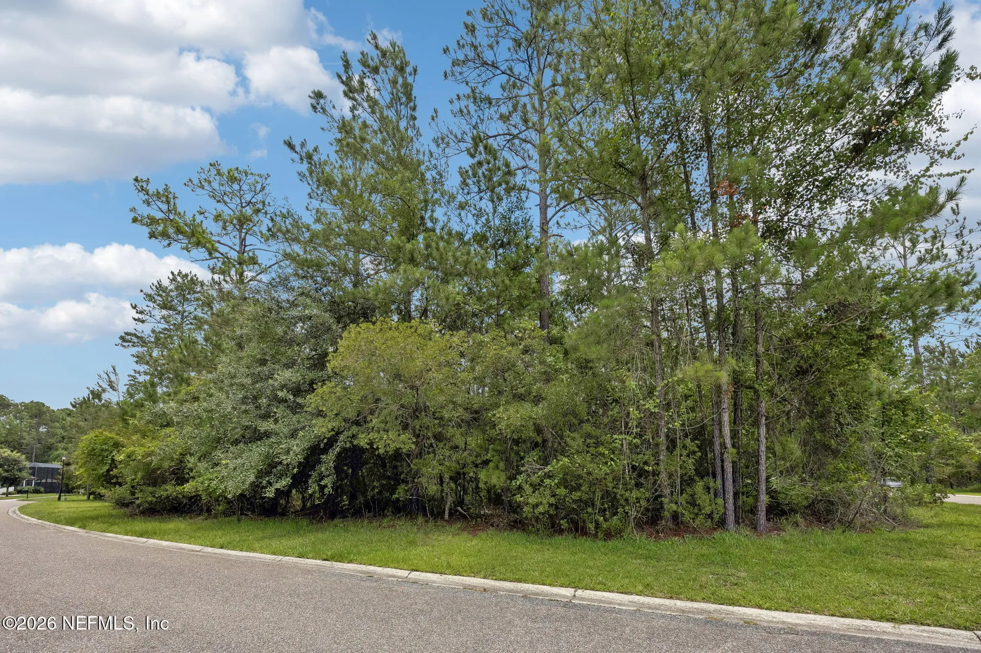 0 Green Moss Lane Orange Park FL 32065