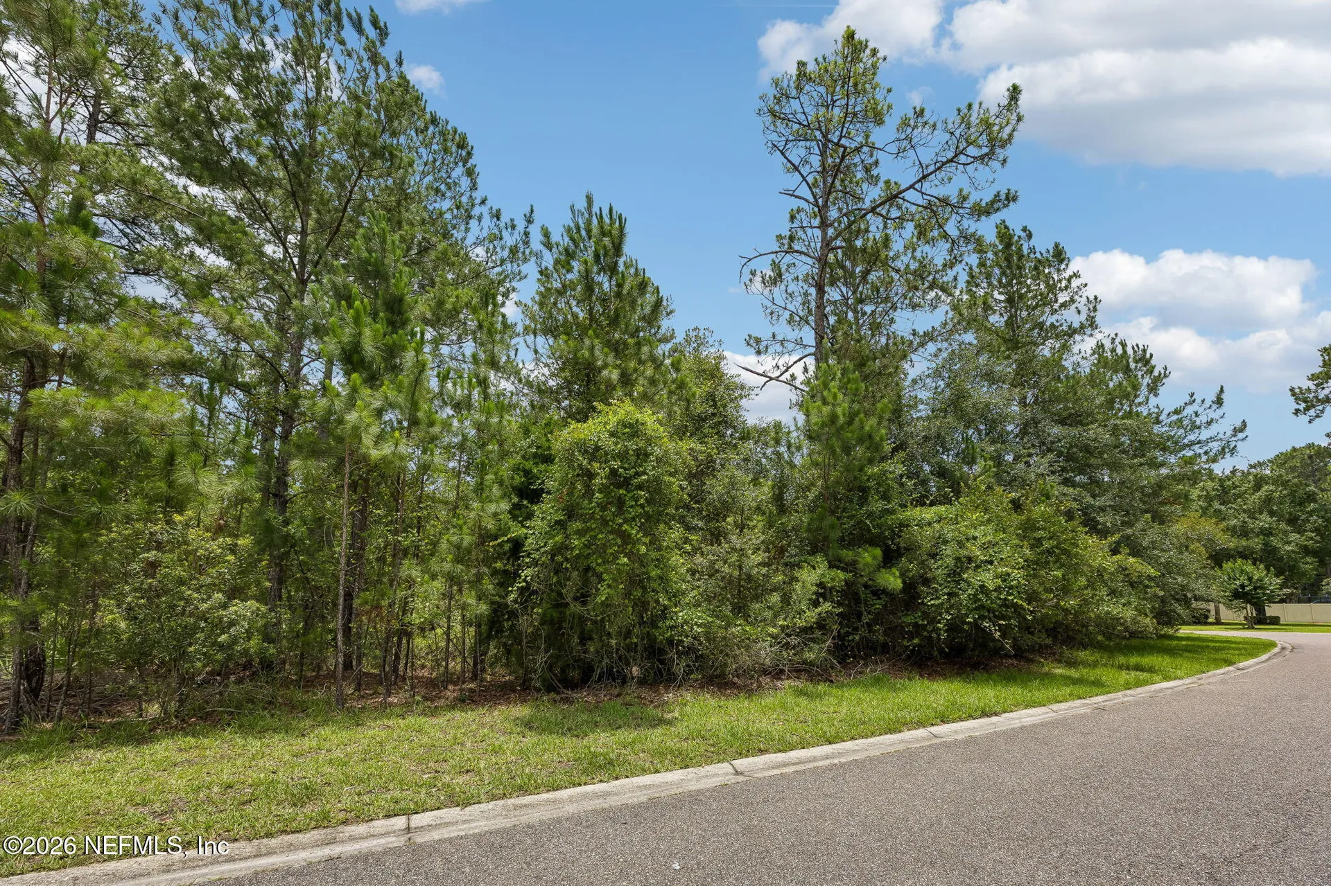 0 Green Moss Lane Orange Park FL 32065