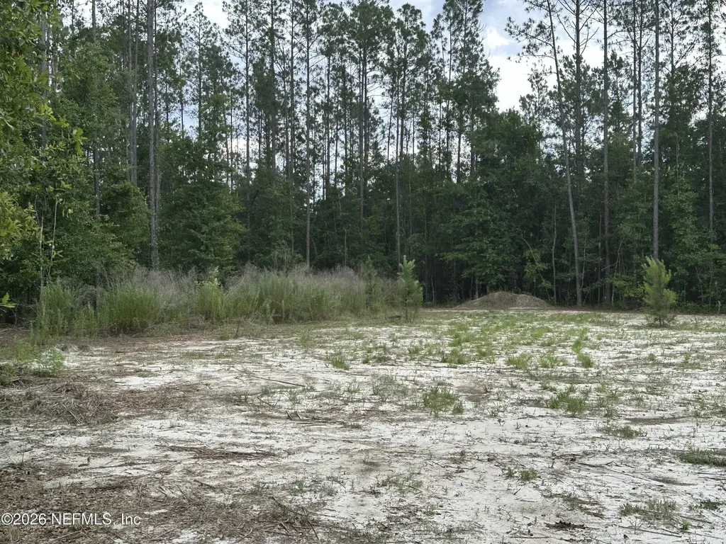15422 Bullock Bluff Road Bryceville FL 32009