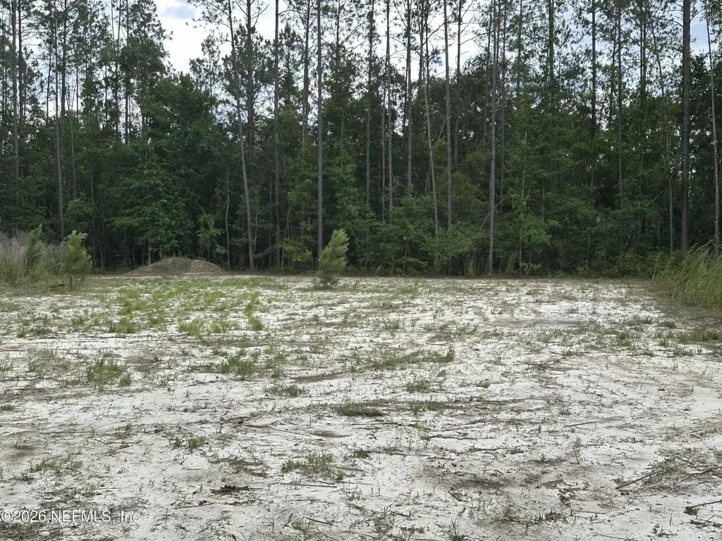 15422 Bullock Bluff Road Bryceville FL 32009