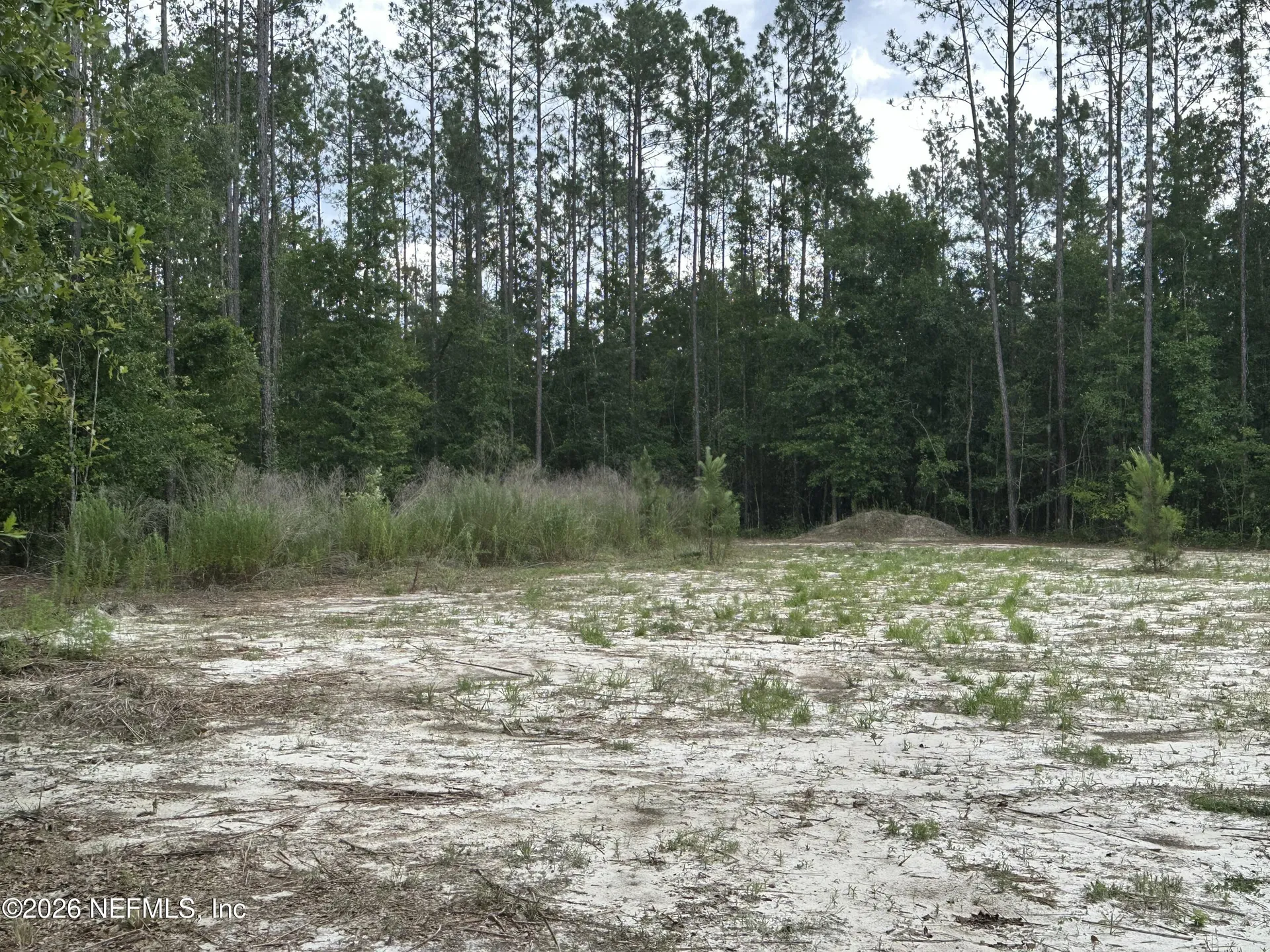 15422 Bullock Bluff Road Bryceville FL 32009