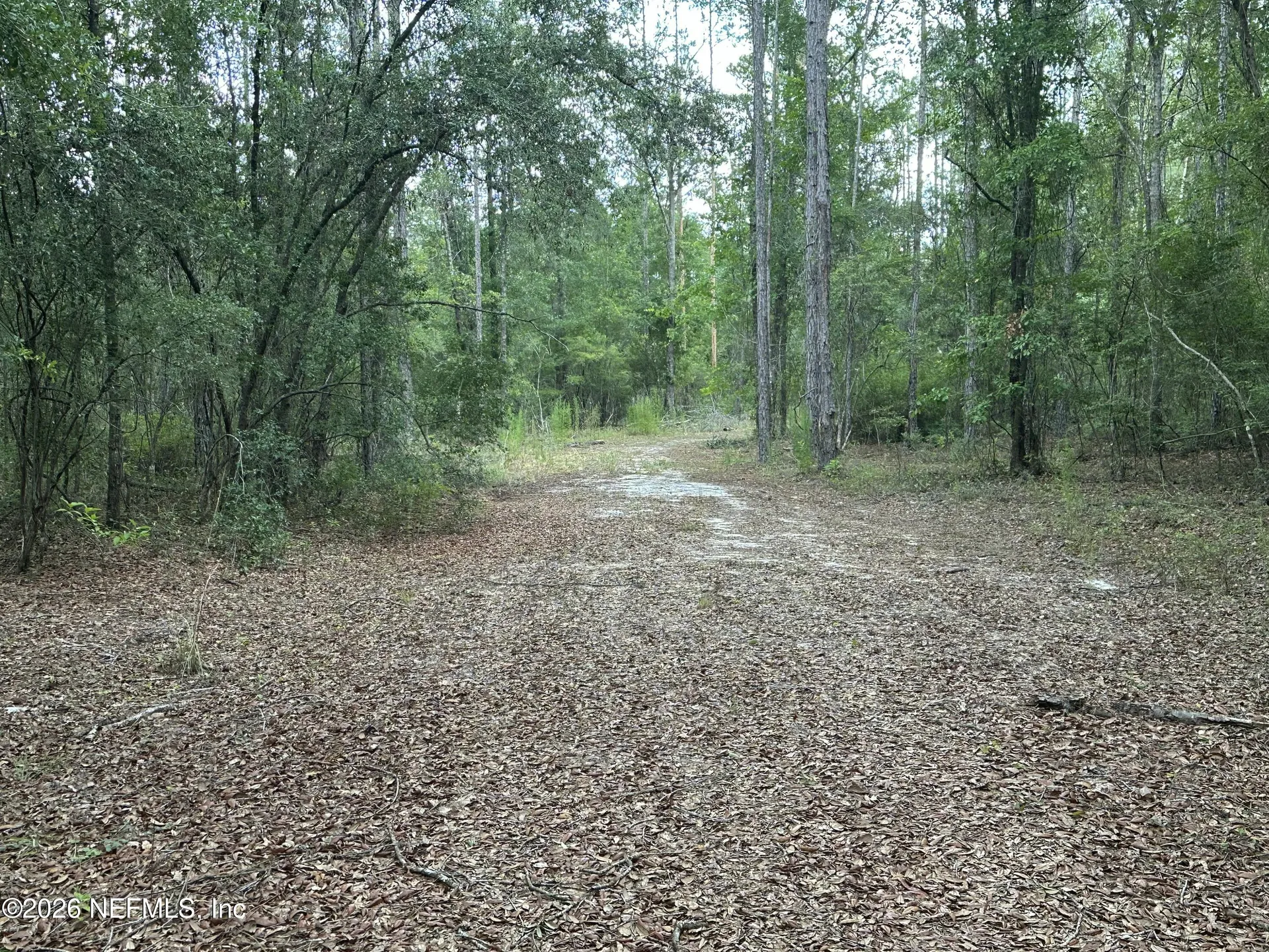 15422 Bullock Bluff Road Bryceville FL 32009
