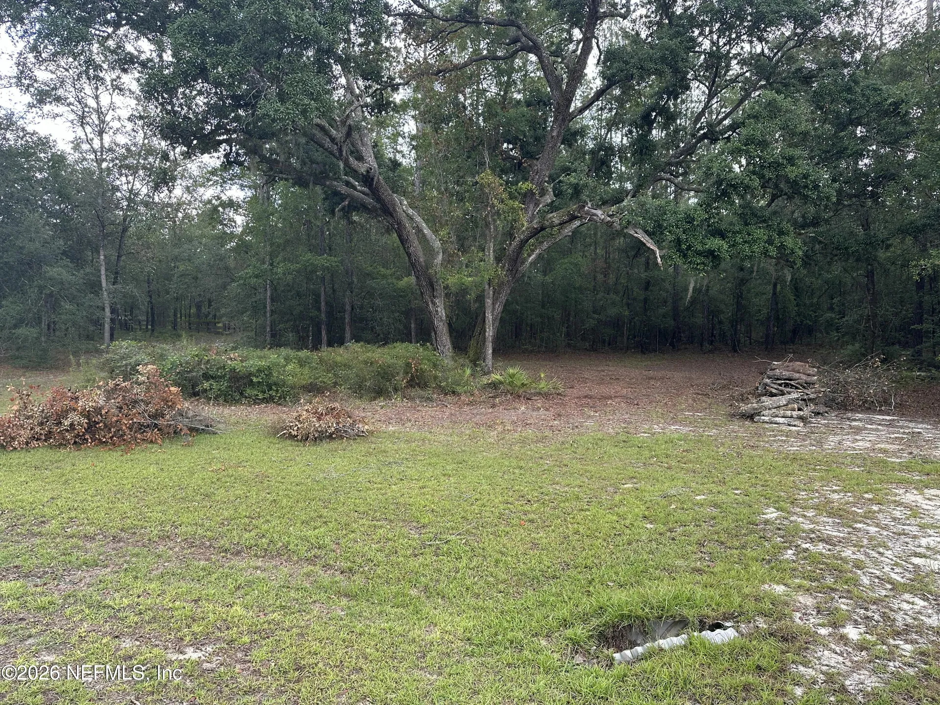 15422 Bullock Bluff Road Bryceville FL 32009