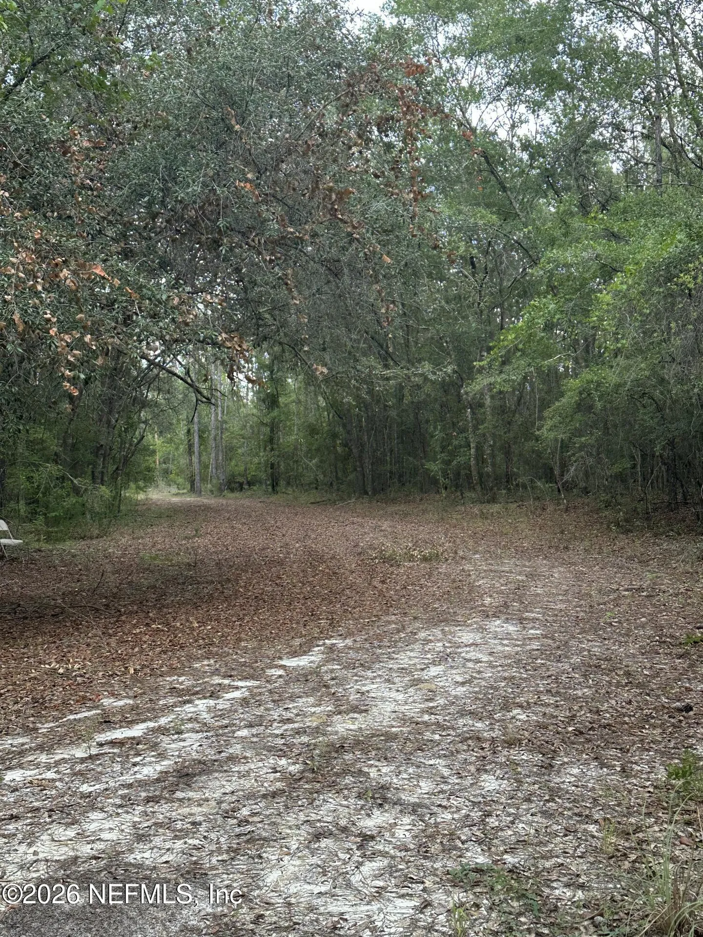 15422 Bullock Bluff Road Bryceville FL 32009