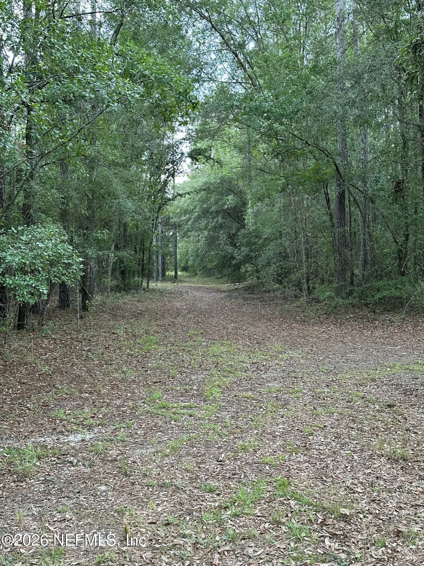 15422 Bullock Bluff Road Bryceville FL 32009