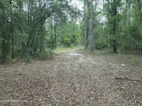 15422 Bullock Bluff Road Bryceville FL 32009