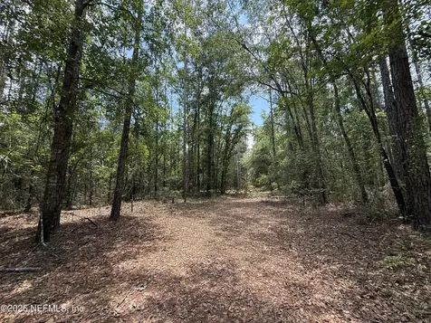 15422 Bullock Bluff Road Bryceville FL 32009