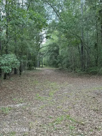 15422 Bullock Bluff Road Bryceville FL 32009