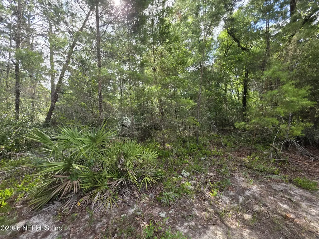 100 Quail Acre Road Pomona Park FL 32181