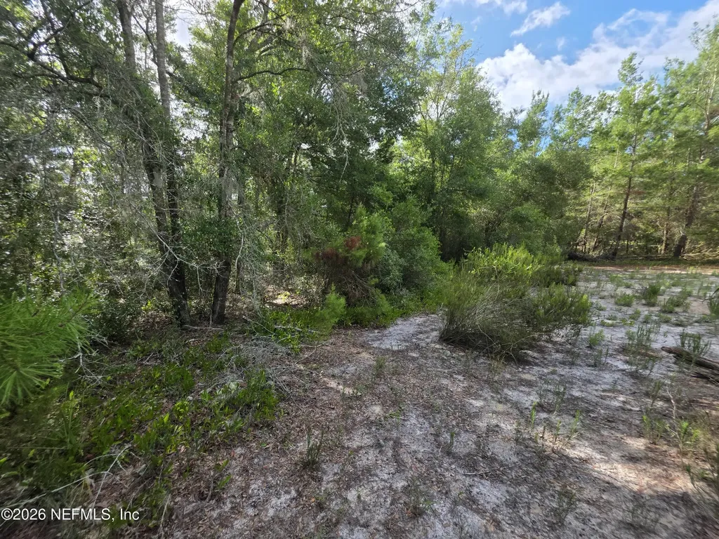 100 Quail Acre Road Pomona Park FL 32181