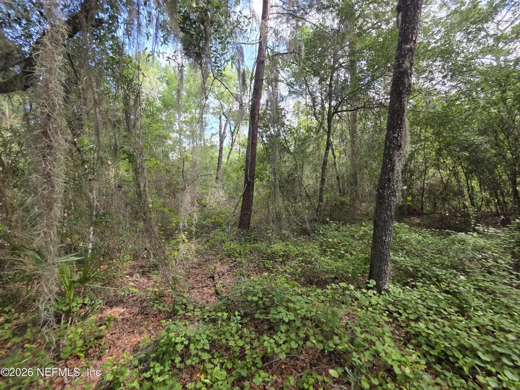 100 Quail Acre Road Pomona Park FL 32181