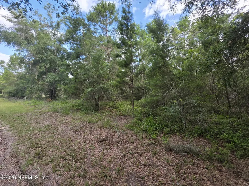 100 Quail Acre Road Pomona Park FL 32181