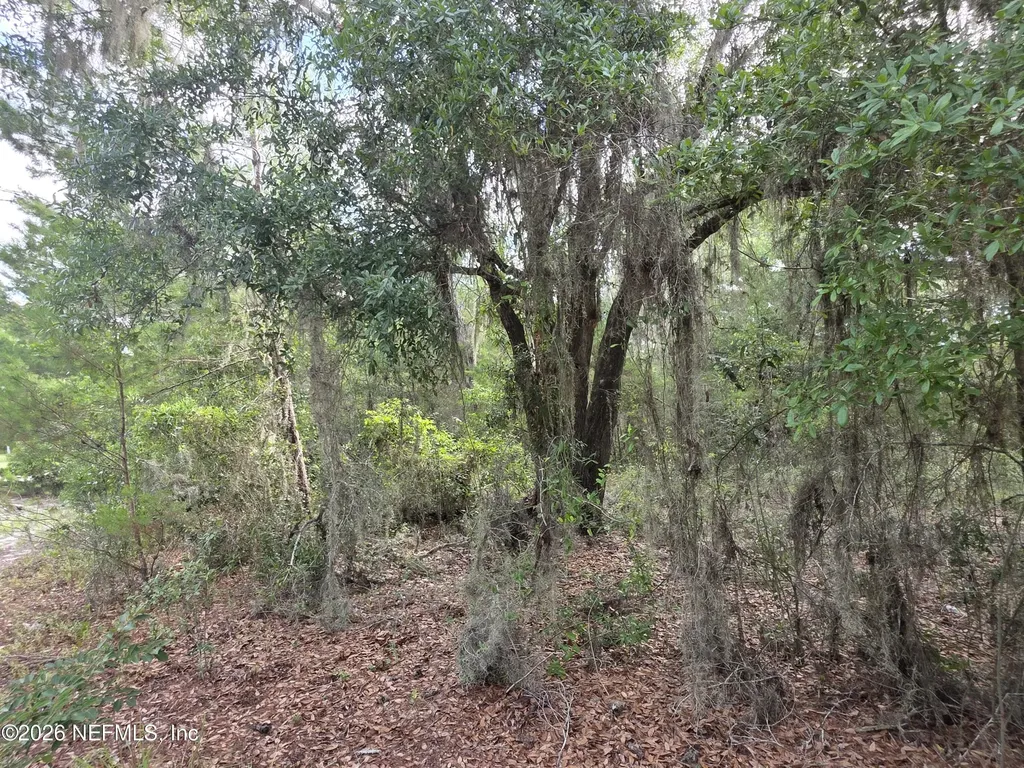 100 Quail Acre Road Pomona Park FL 32181