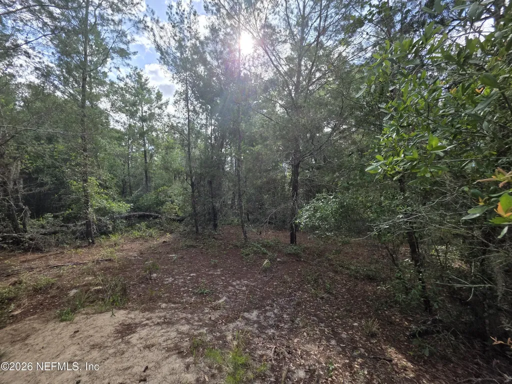 100 Quail Acre Road Pomona Park FL 32181
