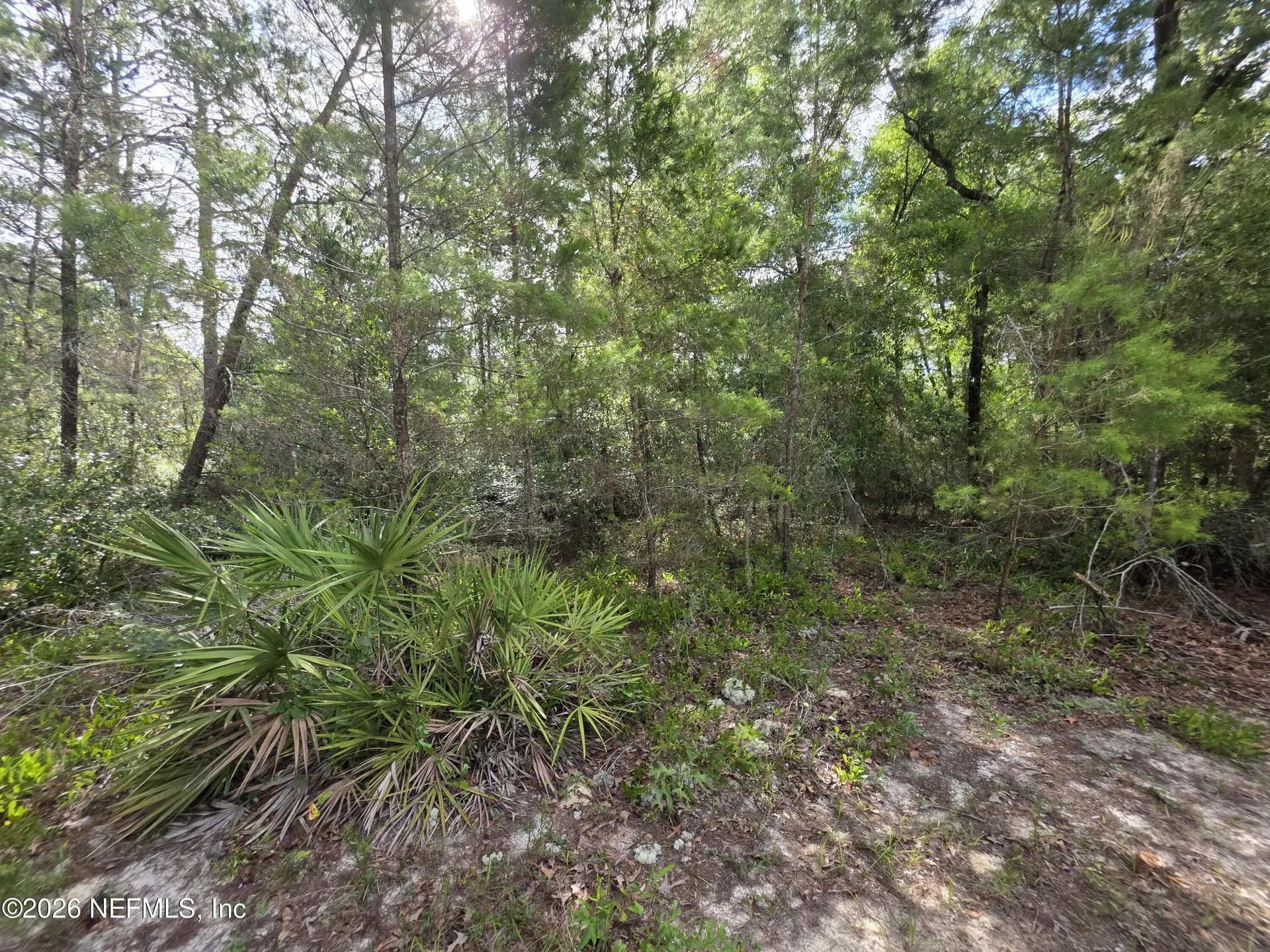 100 Quail Acre Road Pomona Park FL 32181