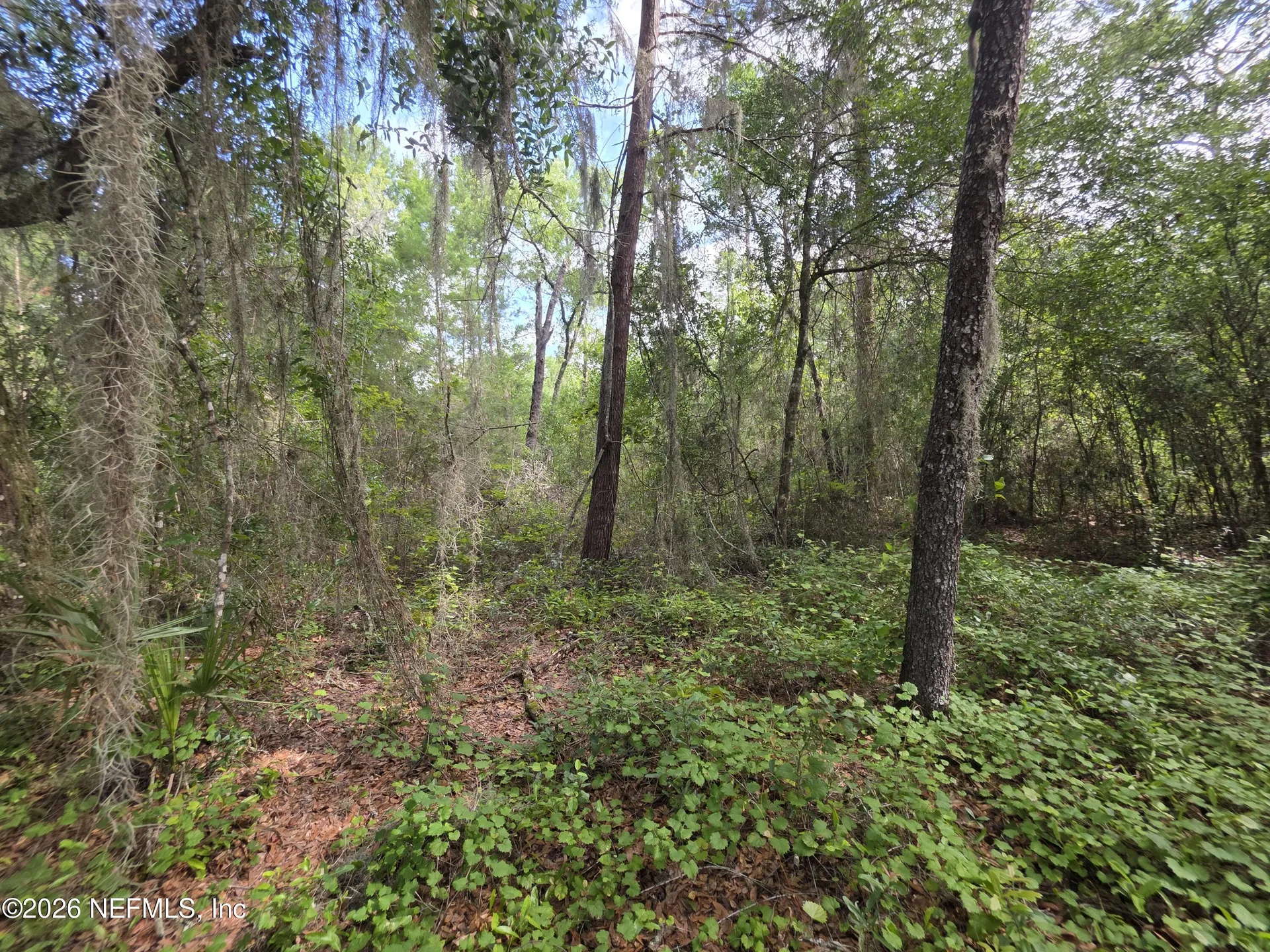 100 Quail Acre Road Pomona Park FL 32181