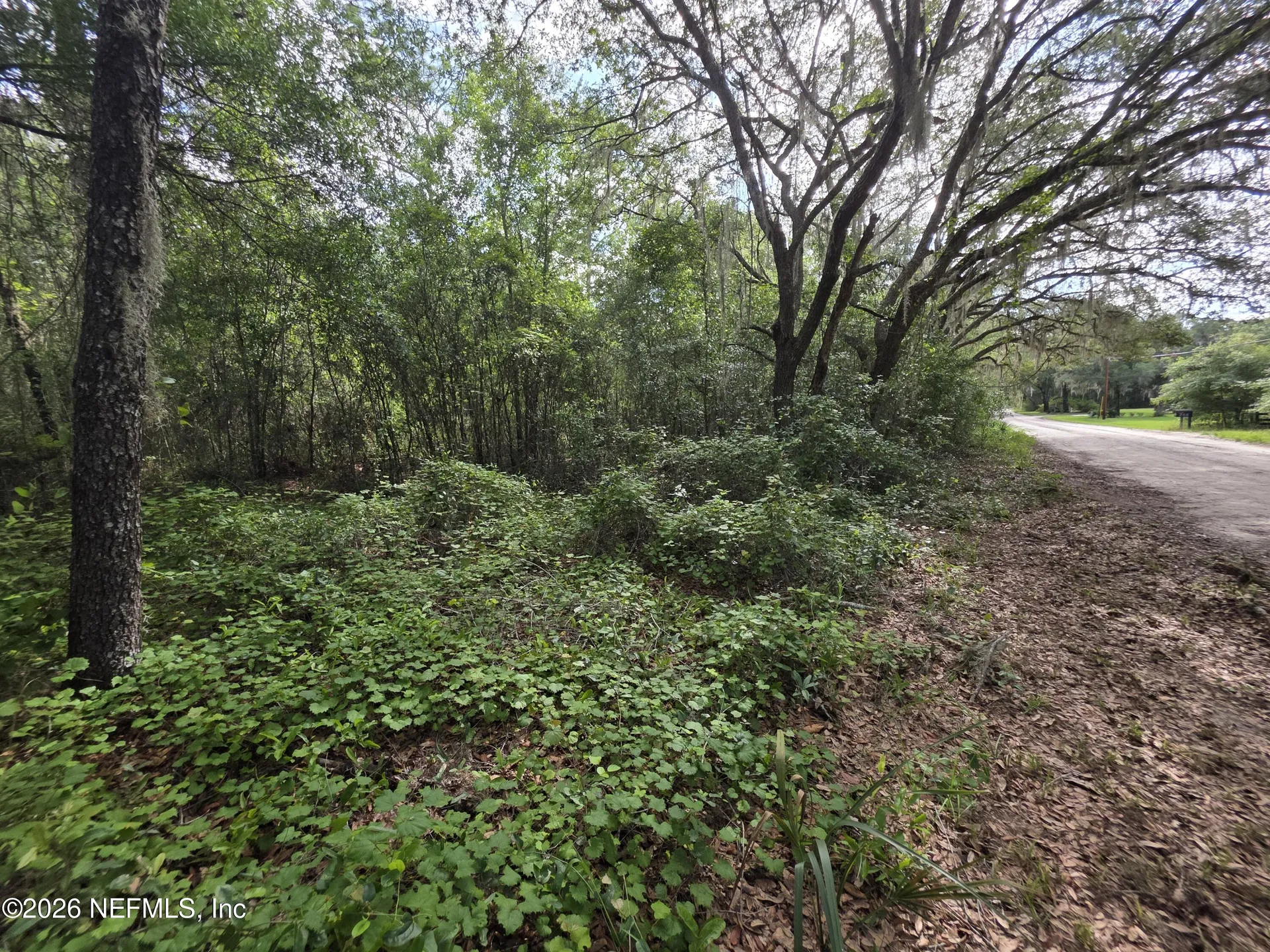 100 Quail Acre Road Pomona Park FL 32181