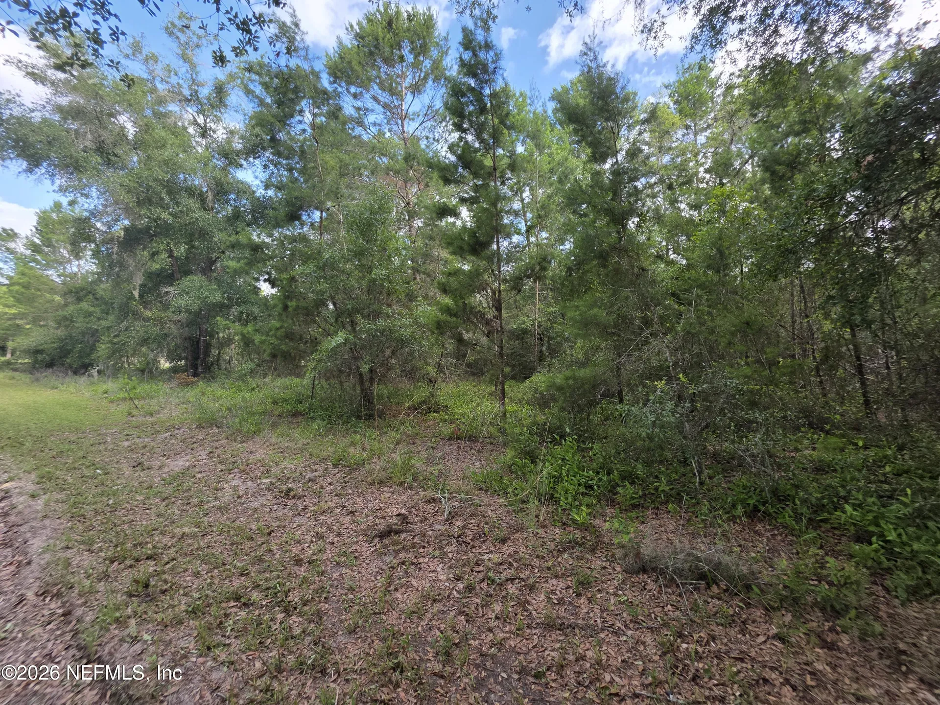 100 Quail Acre Road Pomona Park FL 32181