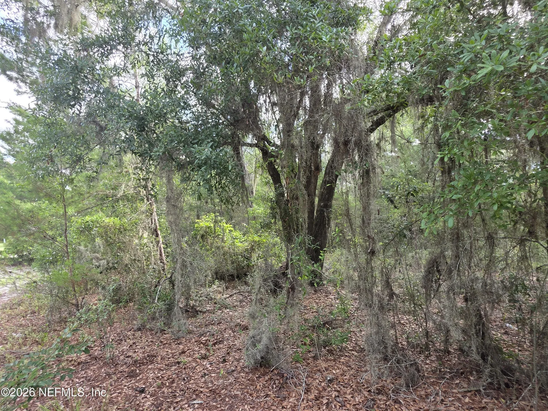 100 Quail Acre Road Pomona Park FL 32181