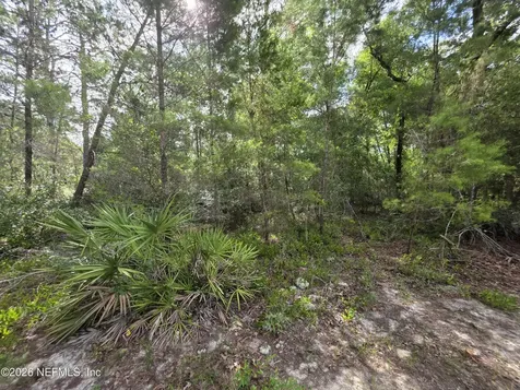 100 Quail Acre Road Pomona Park FL 32181