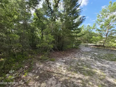 100 Quail Acre Road Pomona Park FL 32181