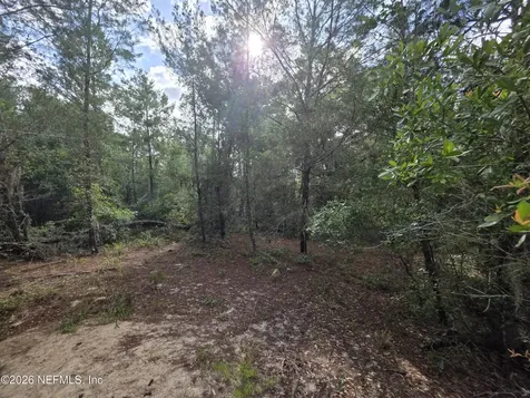 100 Quail Acre Road Pomona Park FL 32181
