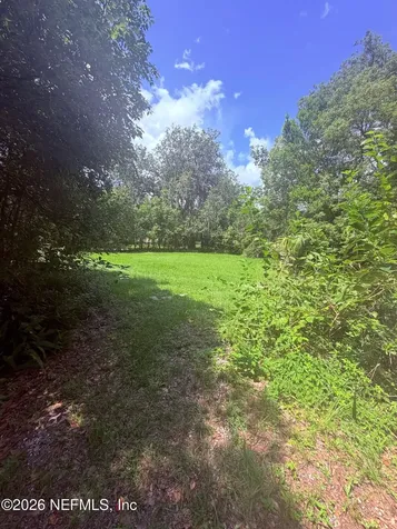 3515 N Laura Street Jacksonville FL 32206