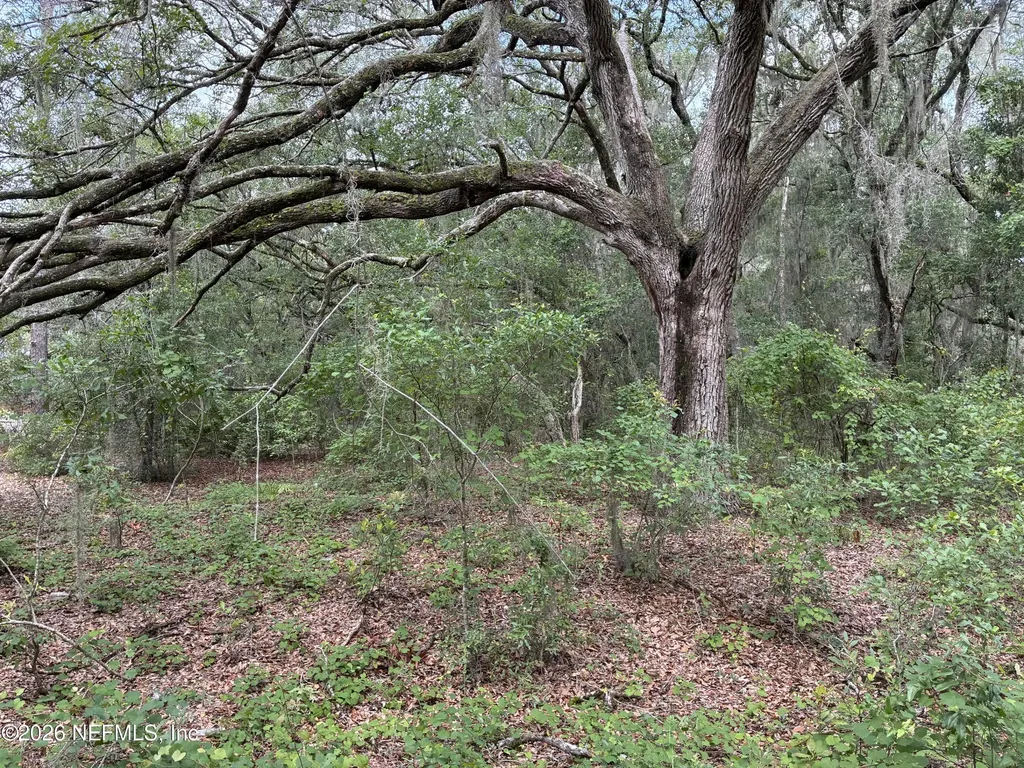 107 Laurel Drive Hawthorne FL 32640