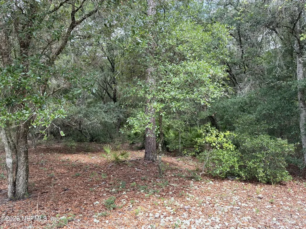 107 Laurel Drive Hawthorne FL 32640