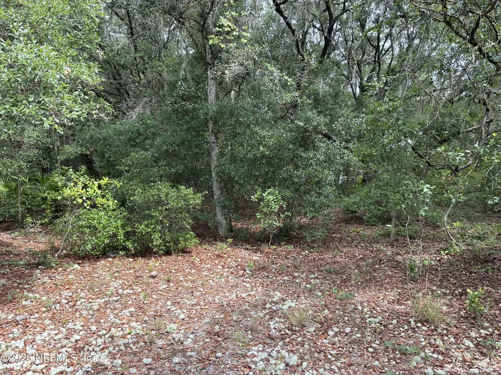 107 Laurel Drive Hawthorne FL 32640