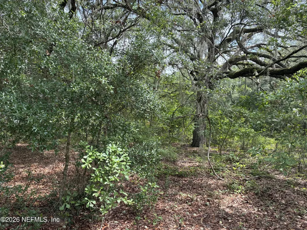 107 Laurel Drive Hawthorne FL 32640